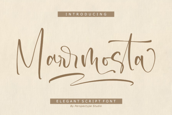 Marmosta: A Modern Script with a Practical Heart